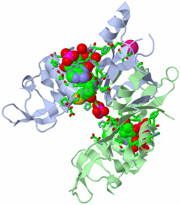 Image Asym./Biol. Unit - sites