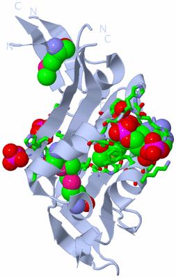 Image Biol. Unit 1 - sites