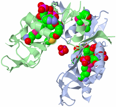 Image Biological Unit 3