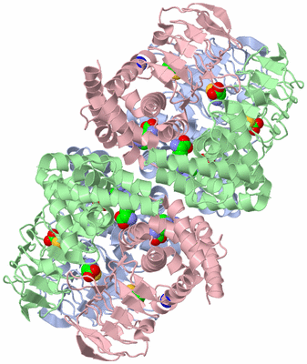 Image Biological Unit 1