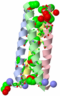 Image Asym./Biol. Unit - sites