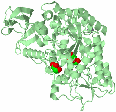 Image Biological Unit 2