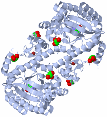 Image Biological Unit 1