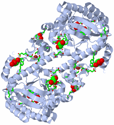 Image Biol. Unit 1 - sites