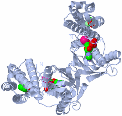 Image Biological Unit 1