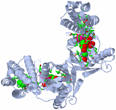 Image Biol. Unit 1 - sites