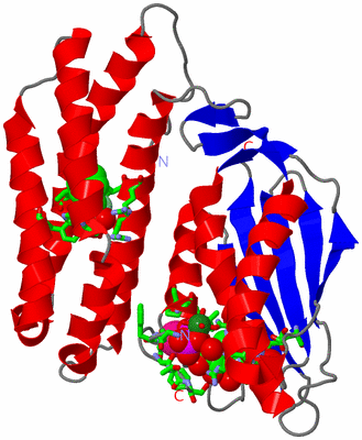 Image Asym. Unit - sites