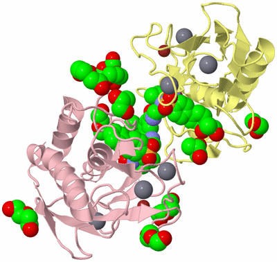 Image Biological Unit 2