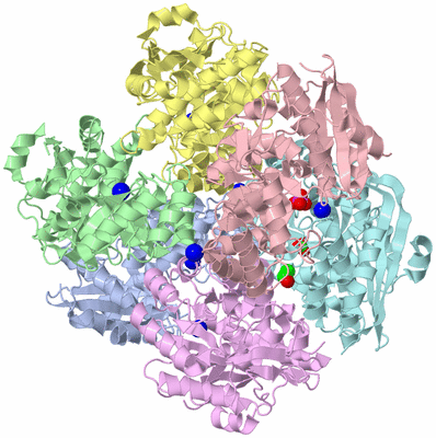 Image Biological Unit 1