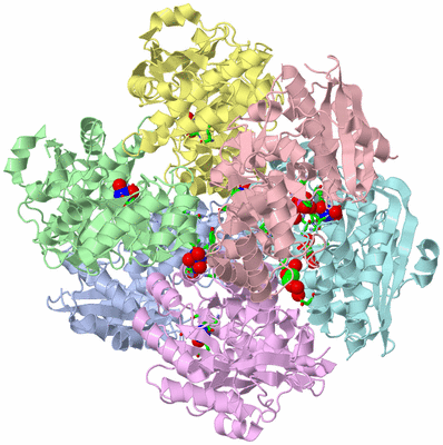 Image Biol. Unit 1 - sites