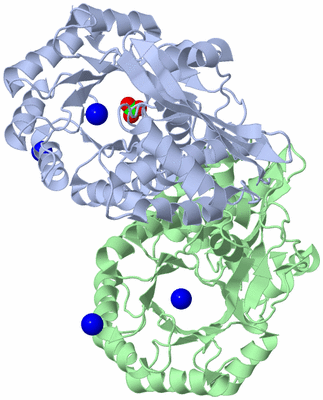 Image Biological Unit 2