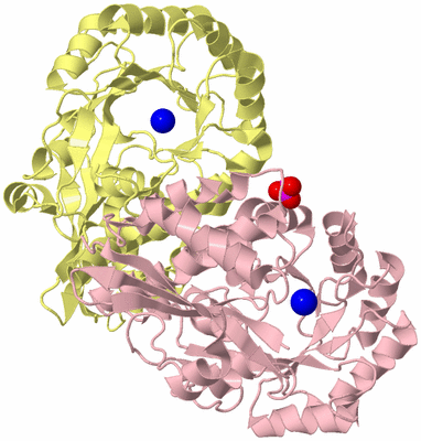 Image Biological Unit 3