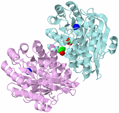 Image Biological Unit 4