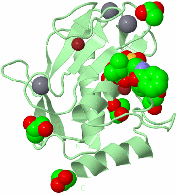 Image Biological Unit 2