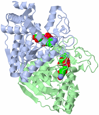 Image Asym./Biol. Unit