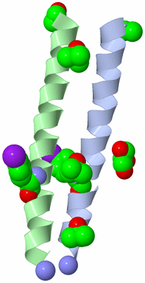 Image Asymmetric Unit