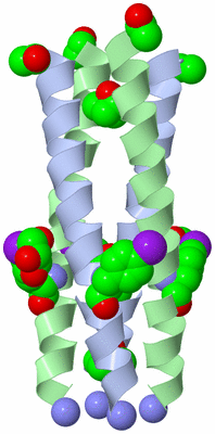 Image Biological Unit 1