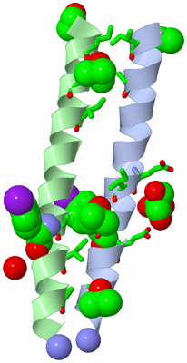 Image Asym. Unit - sites