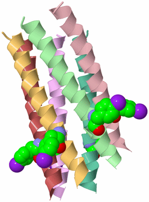 Image Biological Unit 2