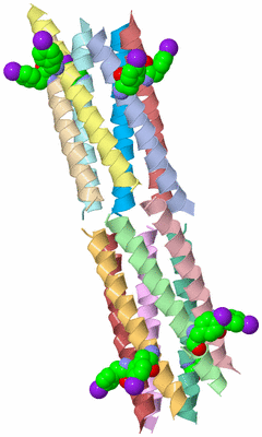 Image Biological Unit 3