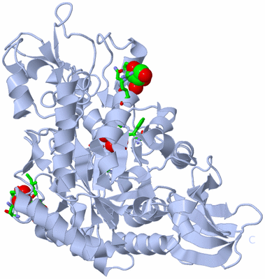 Image Biol. Unit 1 - sites