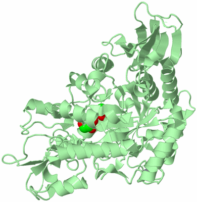 Image Biological Unit 2