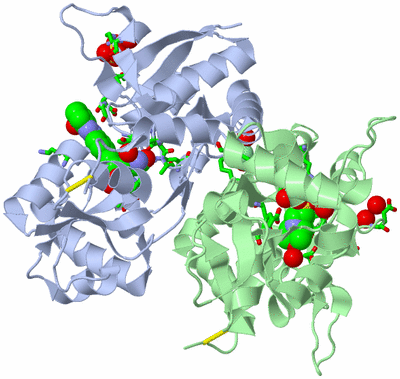 Image Asym./Biol. Unit - sites