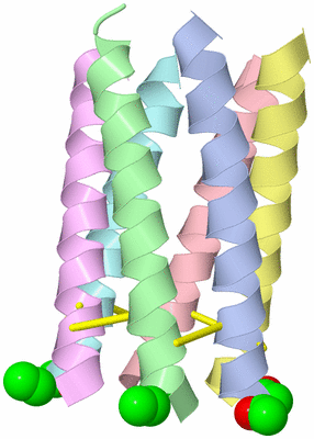 Image Asymmetric Unit