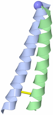 Image Asymmetric Unit