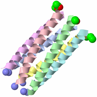 Image Asym./Biol. Unit