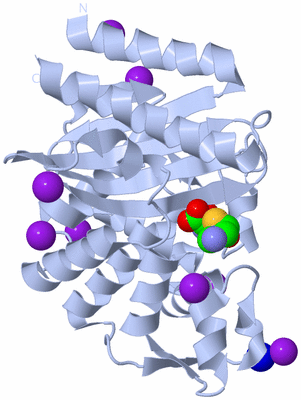 Image Biological Unit 1