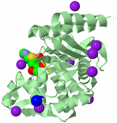 Image Biological Unit 2