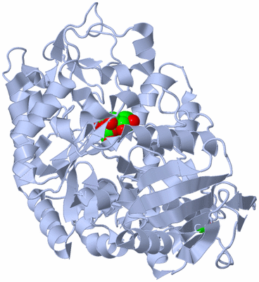 Image Biological Unit 1