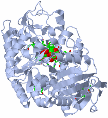 Image Biol. Unit 1 - sites