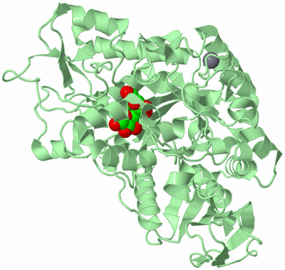 Image Biological Unit 2