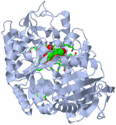 Image Biol. Unit 1 - sites