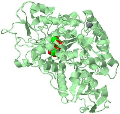 Image Biological Unit 2