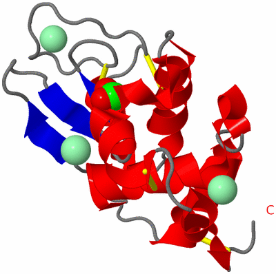 Image Asym./Biol. Unit