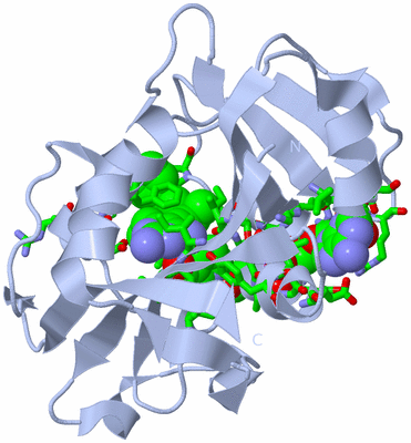 Image Biol. Unit 1 - sites