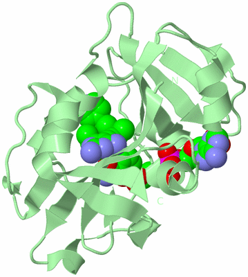 Image Biological Unit 2