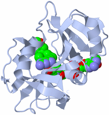 Image Biological Unit 1