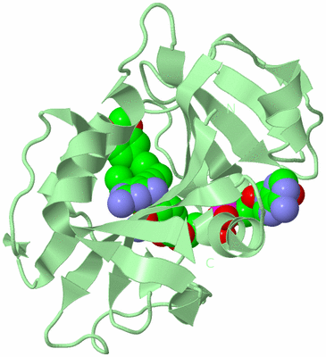 Image Biological Unit 2