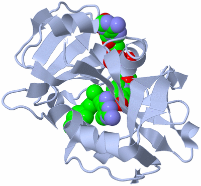 Image Biological Unit 1