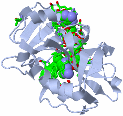 Image Biol. Unit 1 - sites