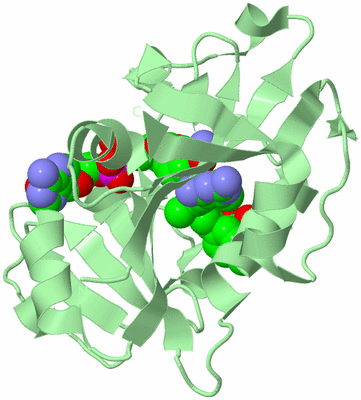 Image Biological Unit 2