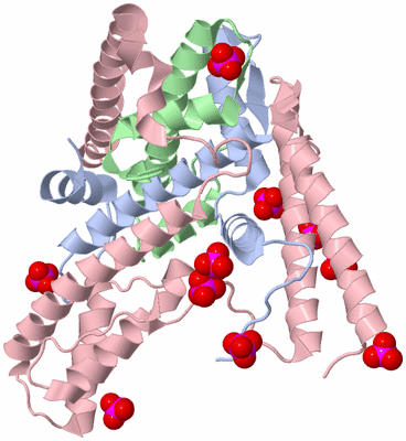 Image Asym./Biol. Unit