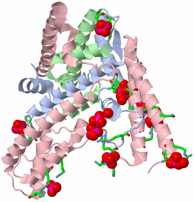 Image Asym./Biol. Unit - sites