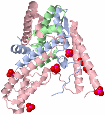 Image Biological Unit 1