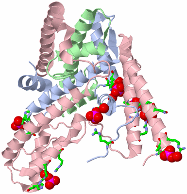 Image Biol. Unit 1 - sites