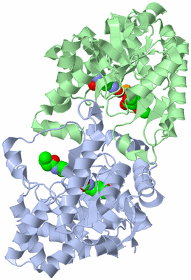 Image Asym./Biol. Unit